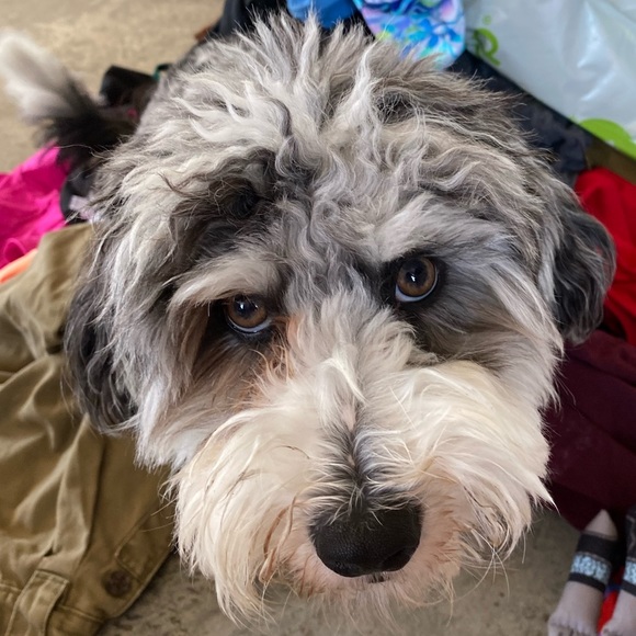 Meet your Posher, Ej’s - Picture 1 of 1